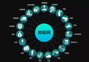 数字与数据经济两翼齐飞，助推物联江西建设中的软件开发